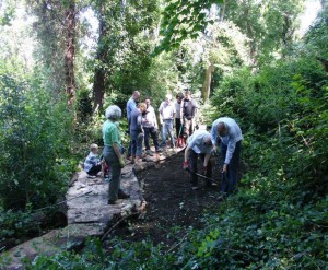 Volunteer Day 2012