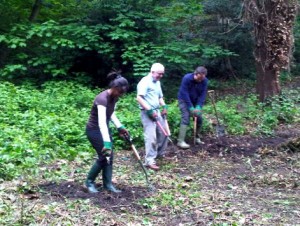 volunteers working