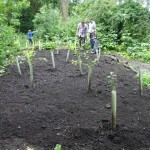 Volunteer Day June 2014