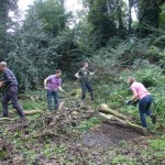 Clearing the fallen tree at the start of the day.