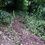 Footpath clearance and maintenance