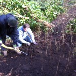 Committee members planting our newly created thicket 
