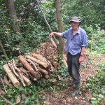 Newly created habitat of logs.