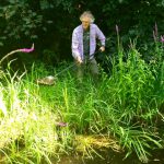 Removing excess pond weed.