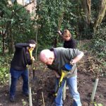 Volunteers planting a new hedge