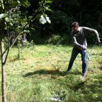 Scythe cutting in The Glade