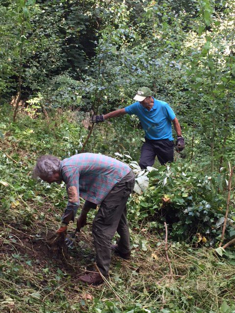 Tim Barnes and Richard Sylvester taking on the bindweed