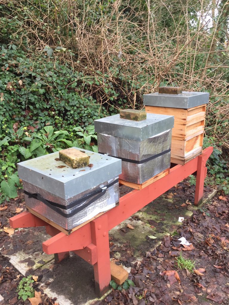 Bee Hives