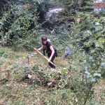 A volunteer weeding The Mound