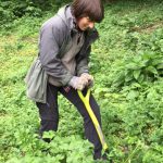 Volunteer weeding