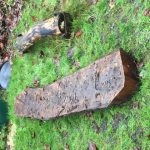 Half trunk of Robinia, ready to become a bench