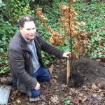 Donald Albrecht and oak sapling planting