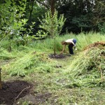 Watering The Fruit Trees
