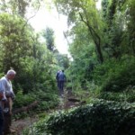 Volunteers going off to work!