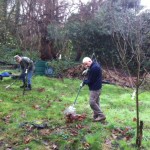 Volunteers removing leaves