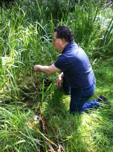 Pond clearing by Donald Albrecht