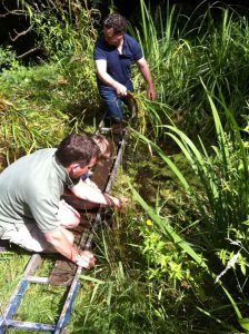 Pond clearing in progress