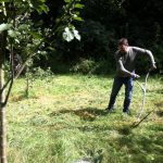 Scythe cutting in The Glade