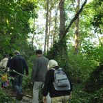 Members of the public walking towards The Glade area after the opening ceremony.